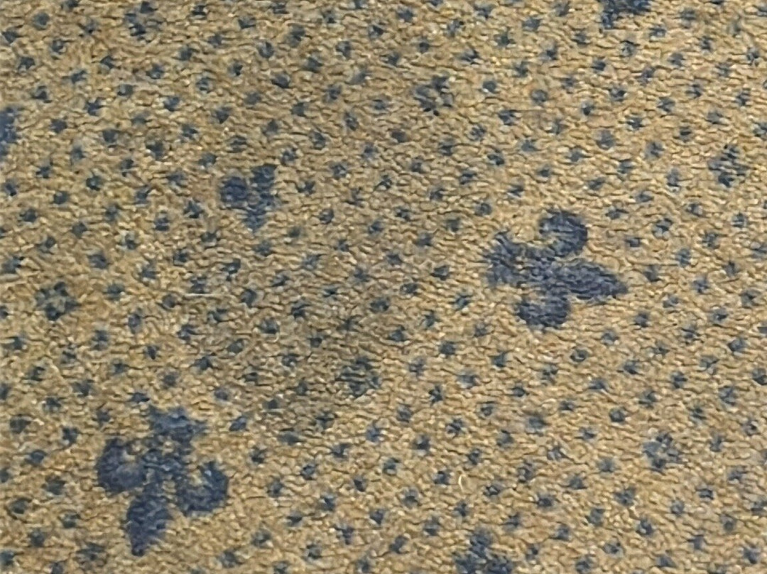 Hotel Don Carlo主图