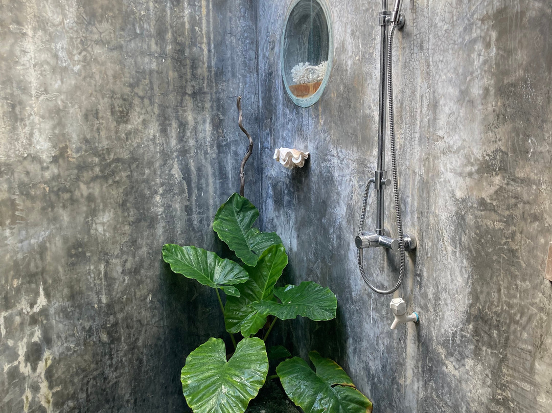 Amazing Noovilu主图