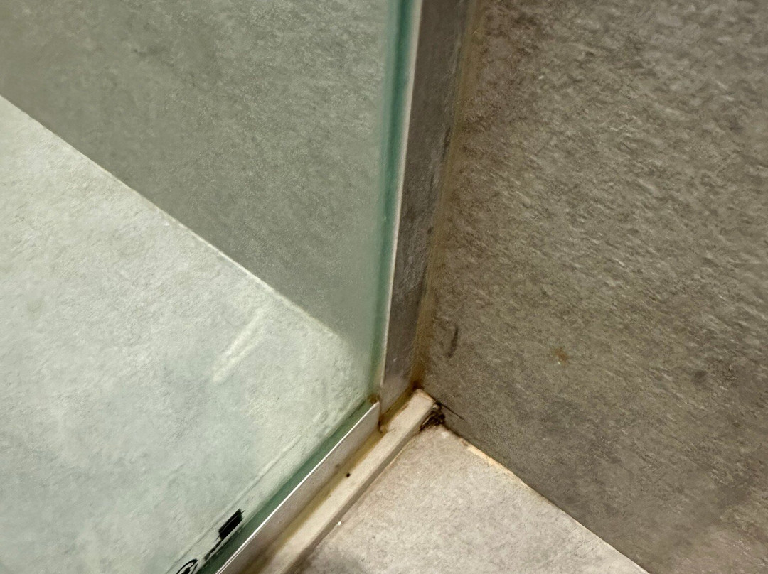 Staz Hotel Premier Dongtan主图