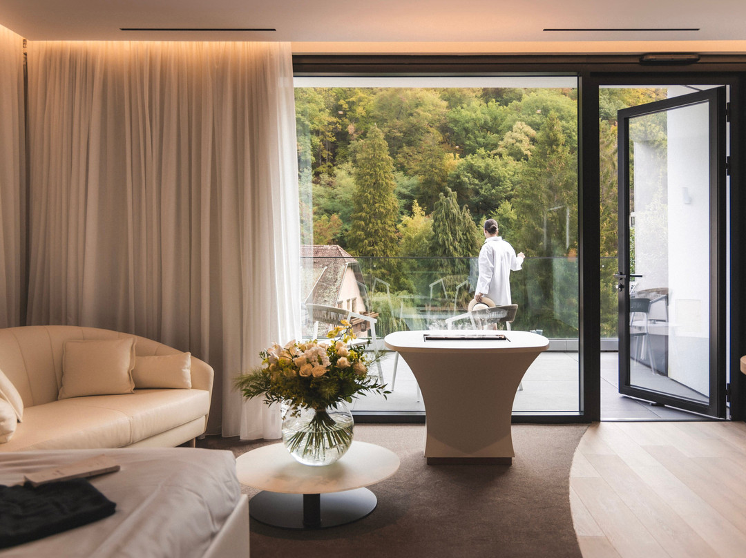 6717 Nature Hotel Et Spa Le Clos Des Delices主图