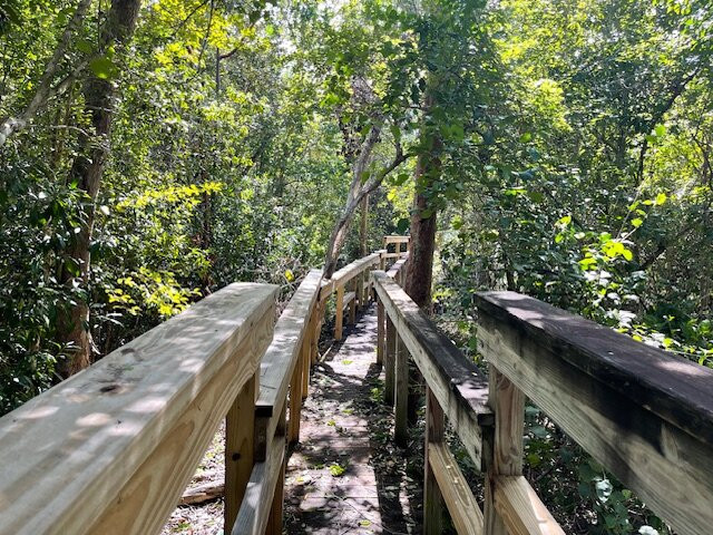 Parrot Preserve-Cayman Brac必去景点