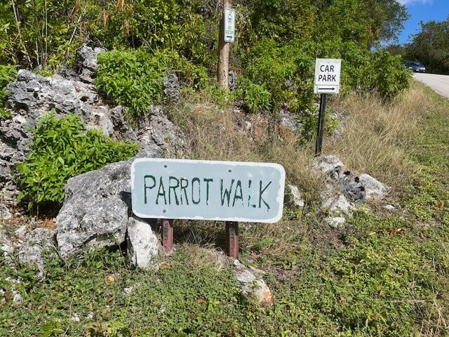 Parrot Preserve-Cayman Brac必去景点