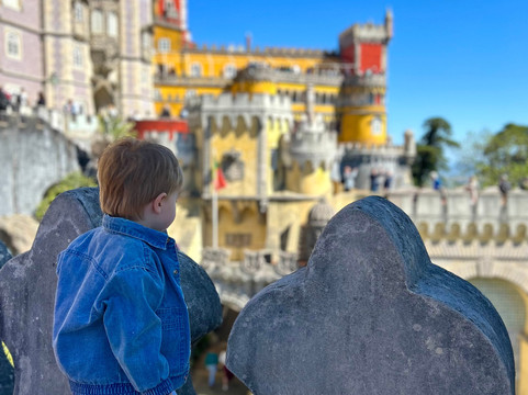 Portuguese Chauffeur