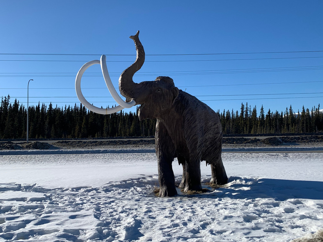Yukon Beringia Interpretive Centre-白马市必去景点