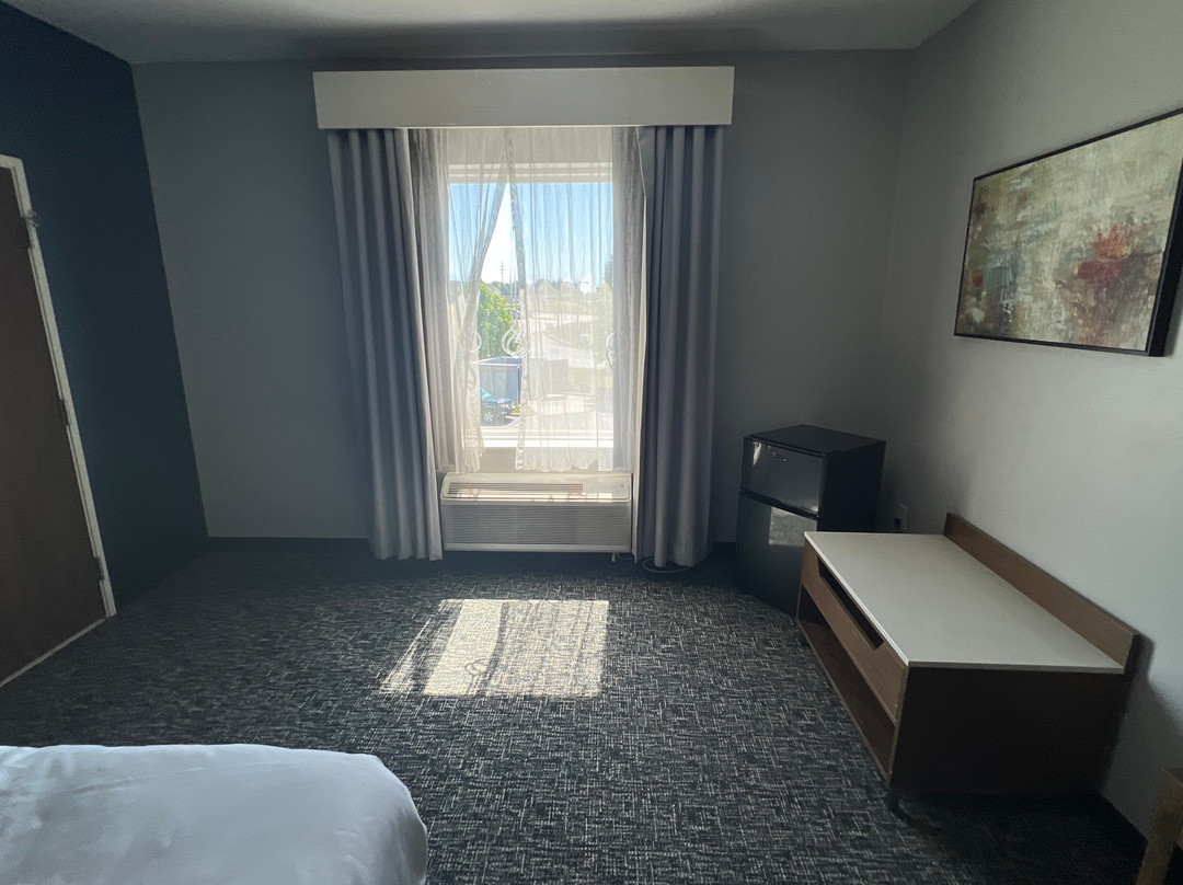 Comfort Suites Greenville Airport主图