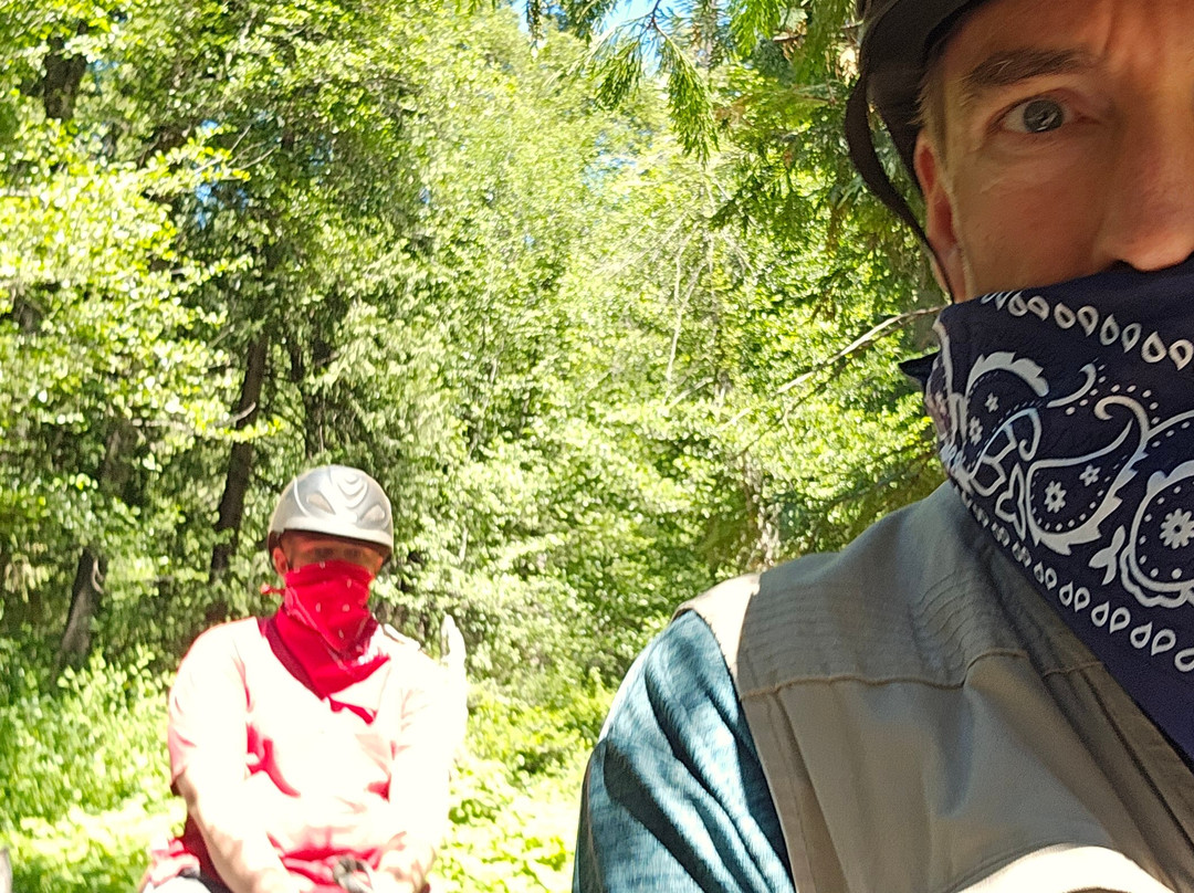 Yosemite Trails Horseback Adventures-菲什营必去景点