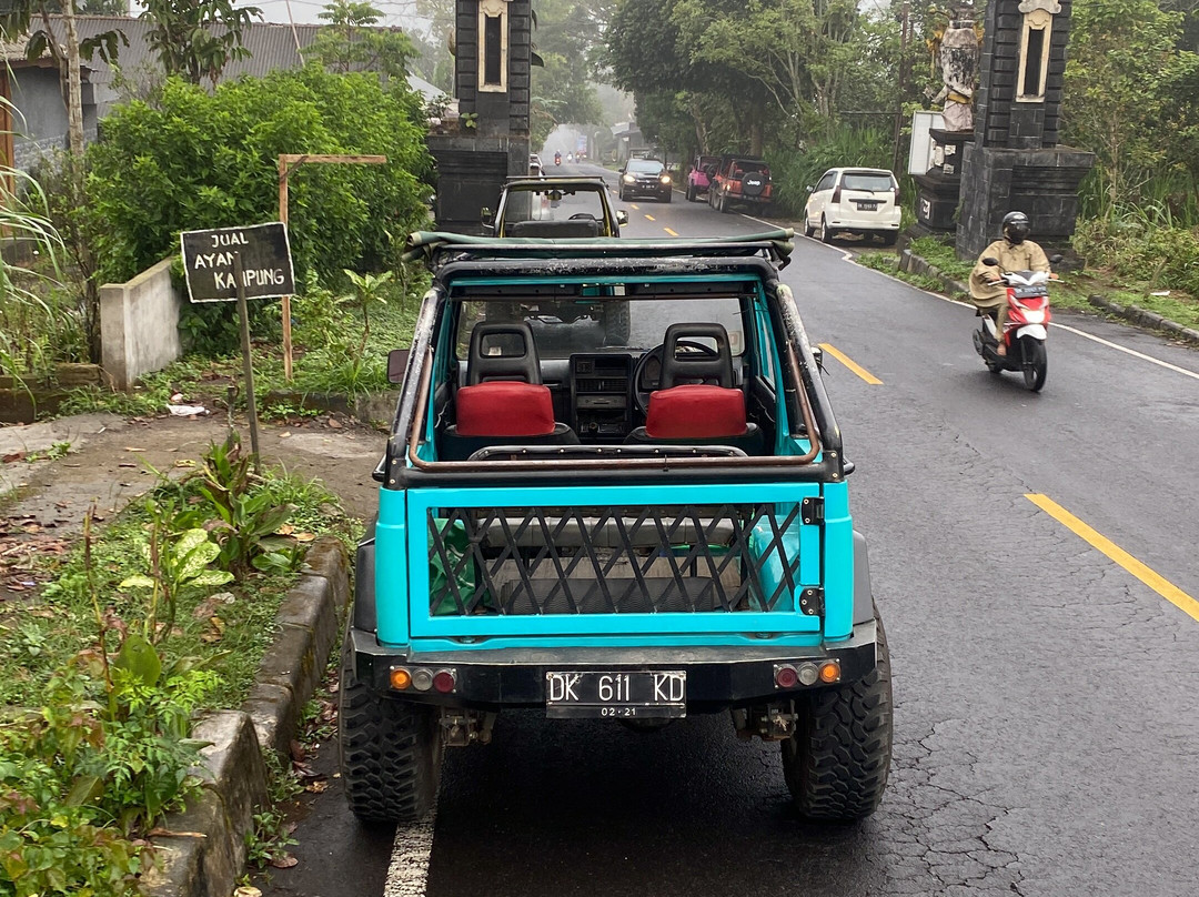 Bali Travelo - Day Tours-登巴萨必去景点