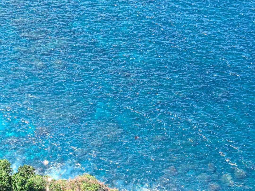 Saren Cliff Point-珀尼达岛必去景点