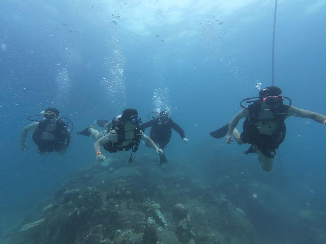 Mojo Divers-涛岛必去景点