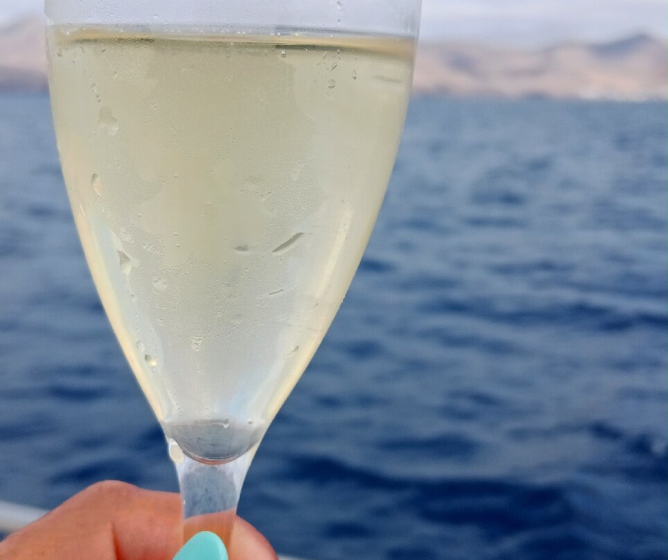 Papagayo Catamaran-布兰卡滩必去景点