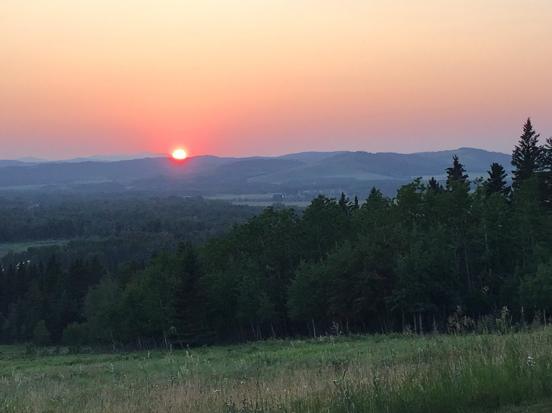 Moose Meadow Inn主图