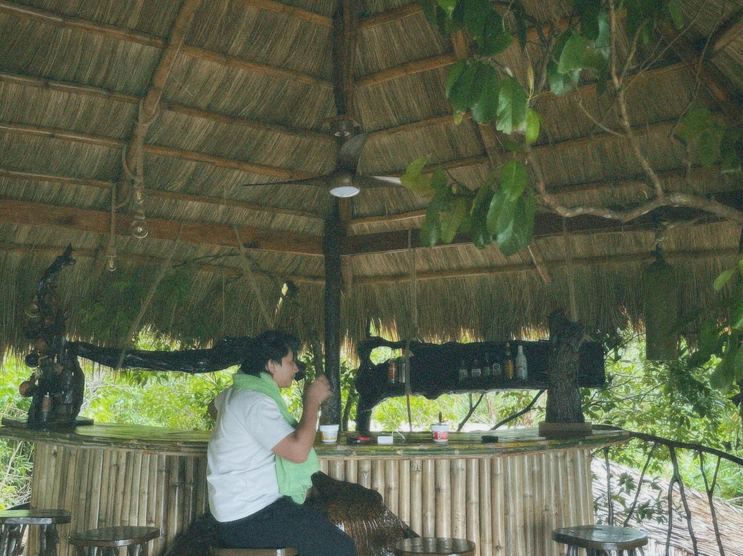 Sanctuaria Treehouses Busuanga主图