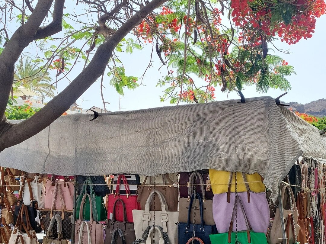 Mercadillo de Mogan景点图片