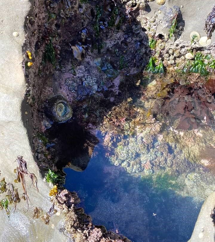 Inn at Arch Rock主图