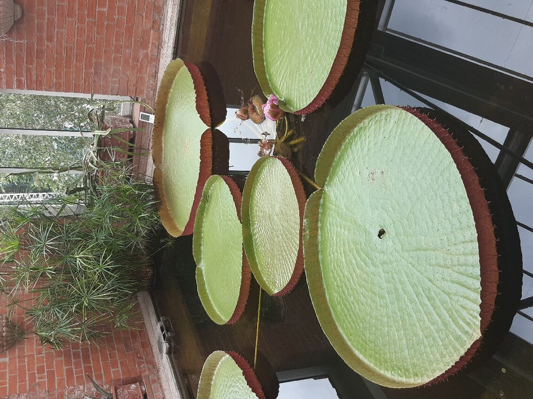 The Tropical Ravine House-贝尔法斯特必去景点
