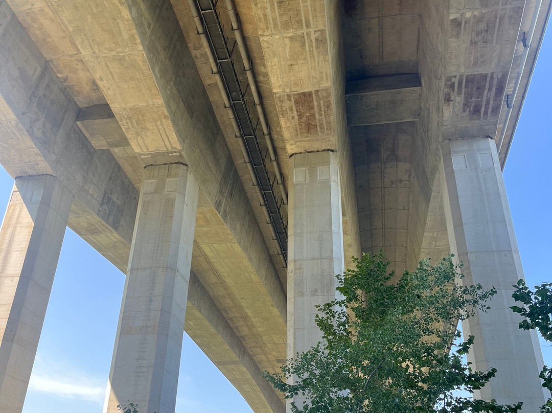 Creve Coeur Lake Memorial Park景点图片