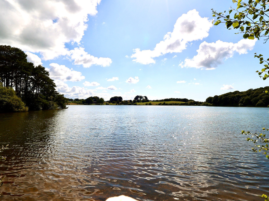 Talkin Tarn Park-卡莱尔必去景点