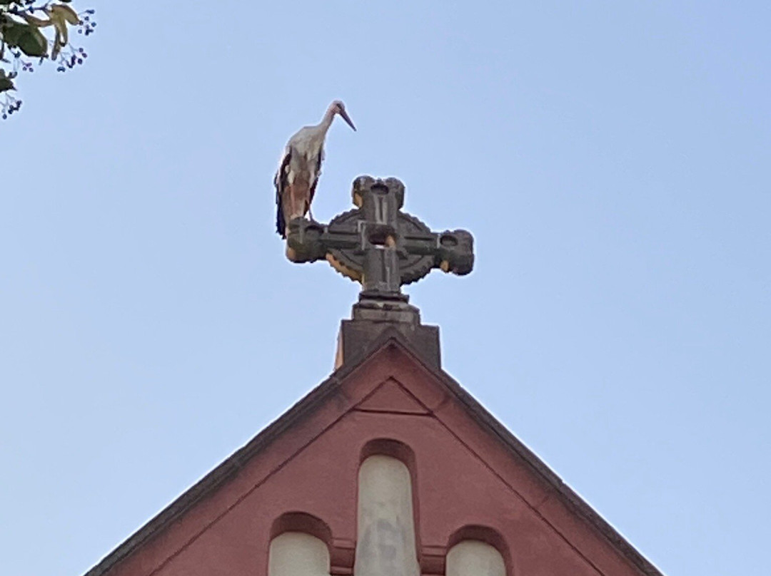 Seelsorgeeinheit-Rust Kirche-鲁斯特必去景点