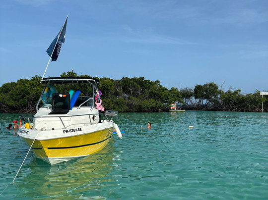Bucketlist Tours-圣胡安必去景点