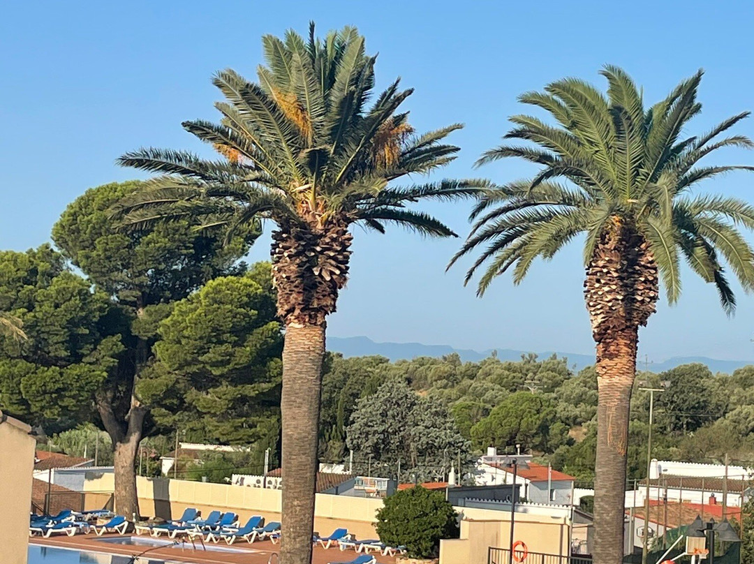 Hotel San Carlos主图