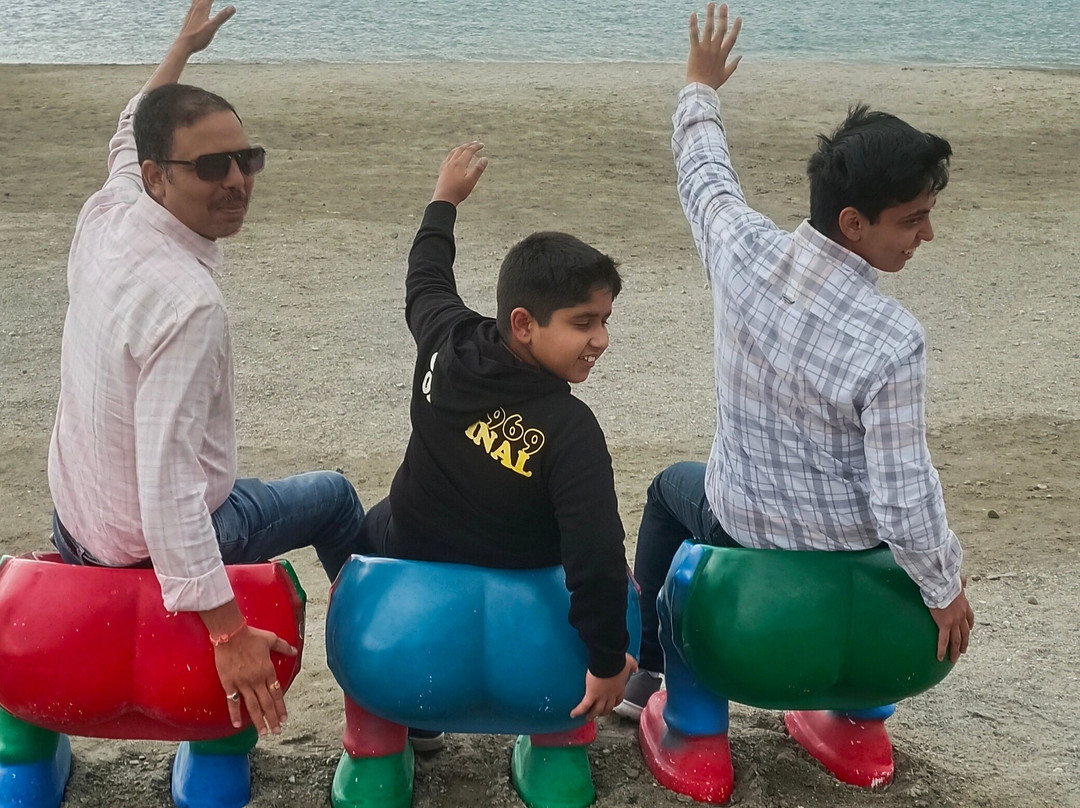Vaishnavi Holidays景点图片