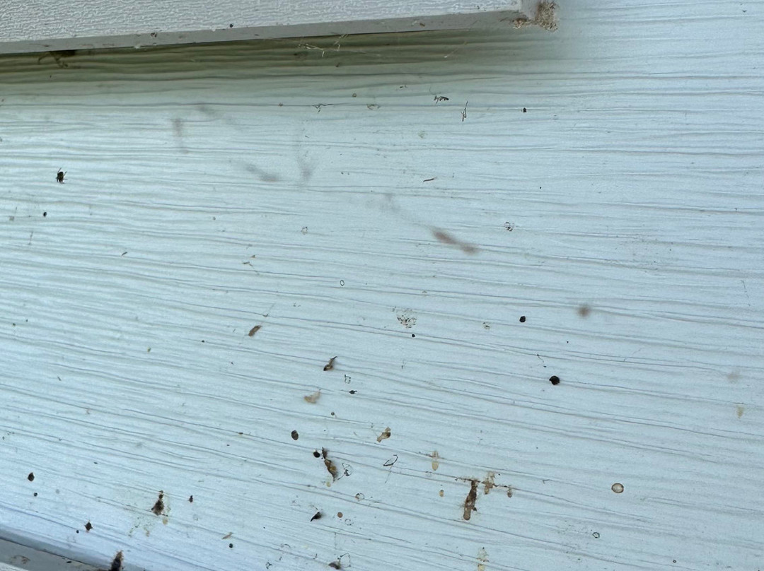 Ledges By The Bay主图