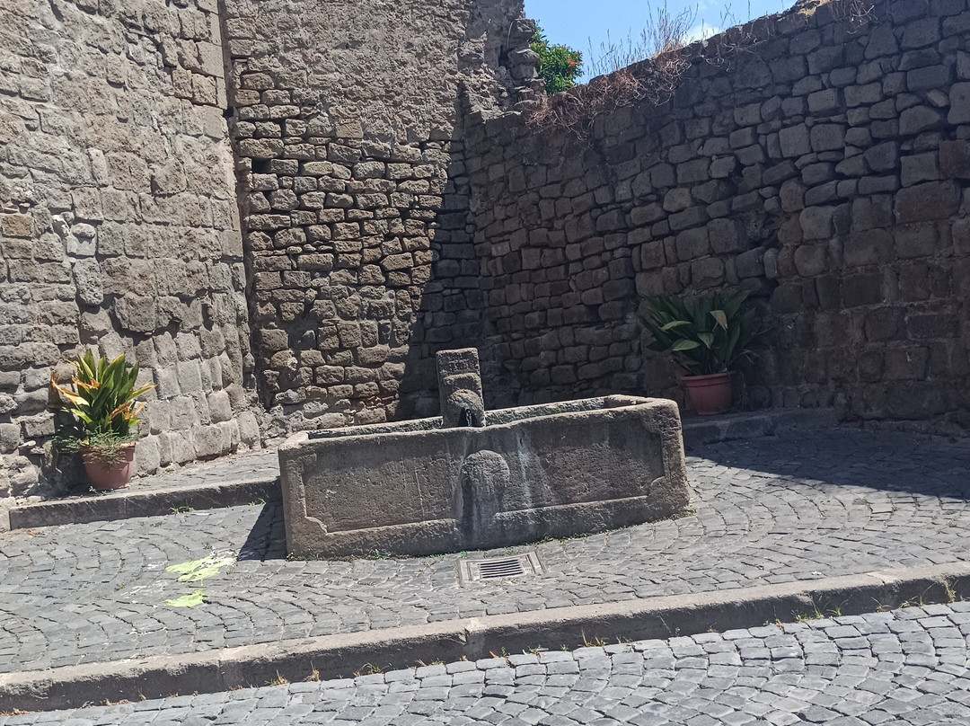 B&B Medieval House主图