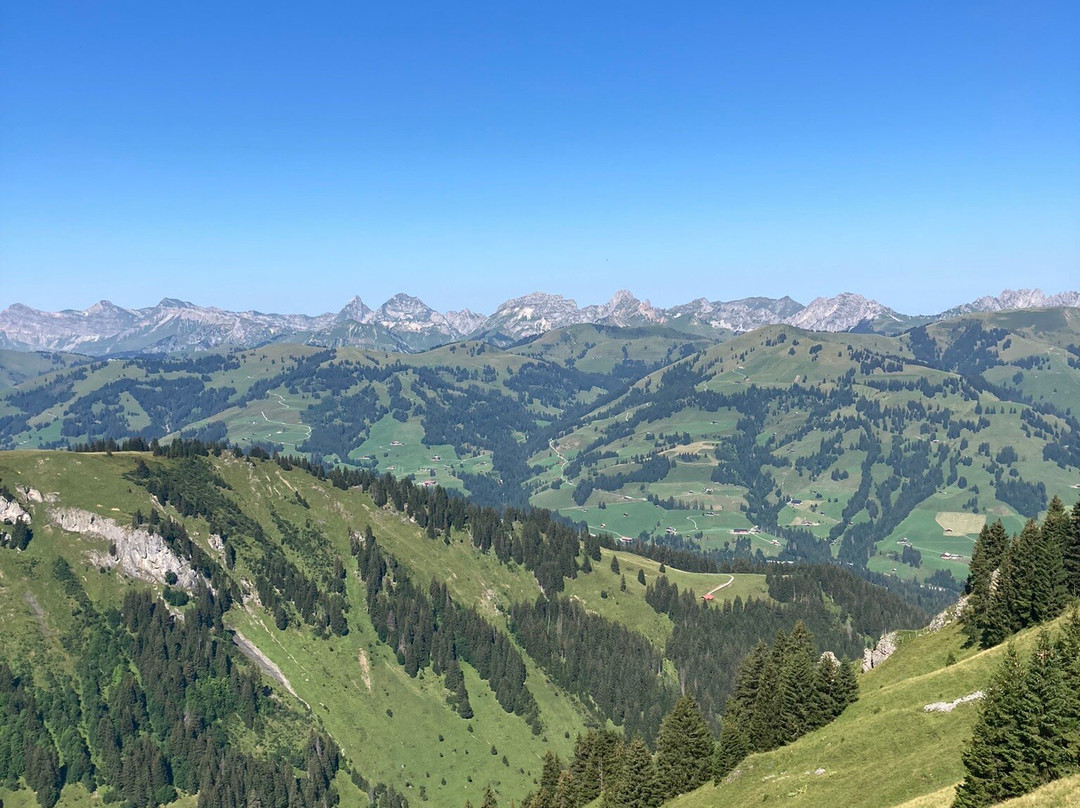 Horneggli - Hornberg - Rinderberg景点图片