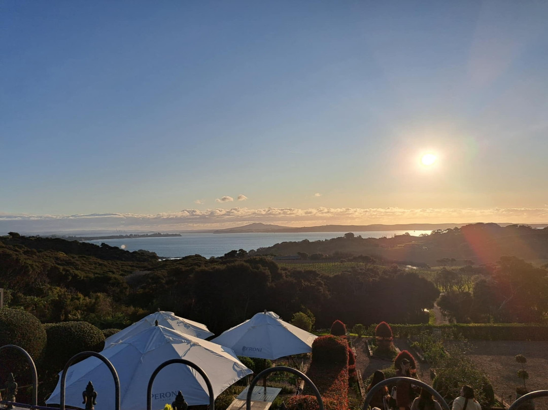 Big Aroha Tours-怀系奇岛必去景点