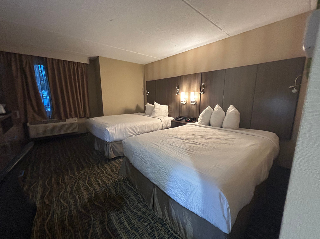 新英格兰贝斯特韦斯特优质酒店主图