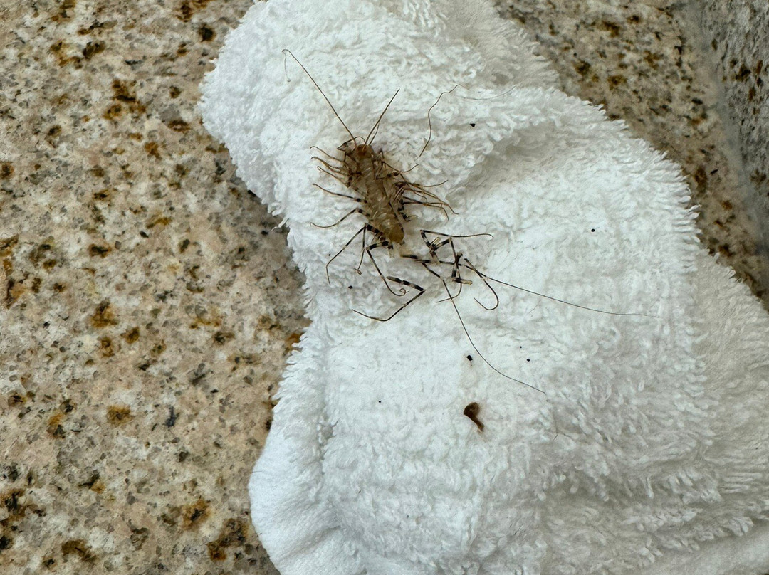 谢尔顿希尔顿花园旅馆主图