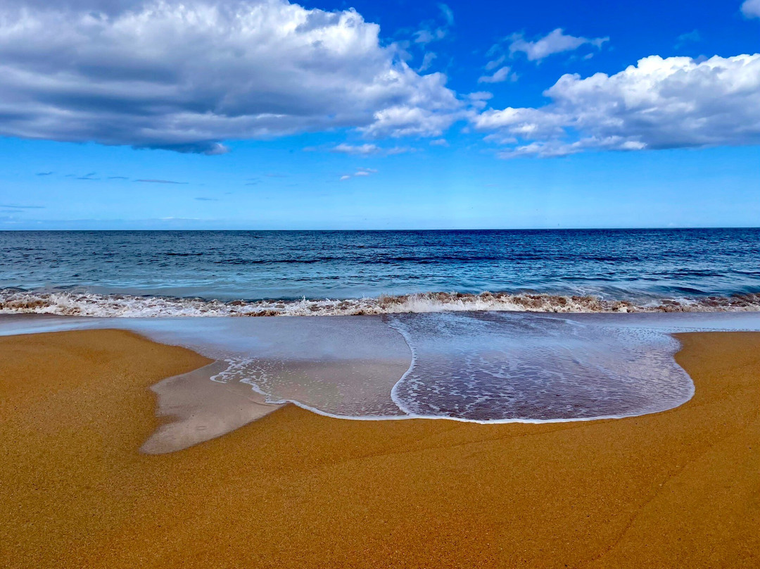 Fraserburgh Beach-Fraserburgh必去景点