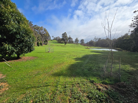 斯卡勒特森林度假屋主图