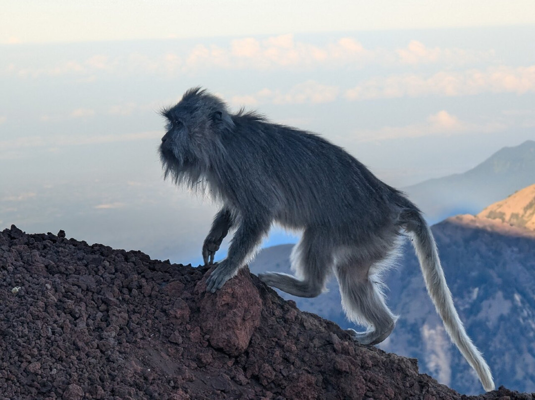Oke Rinjani-Senaru必去景点