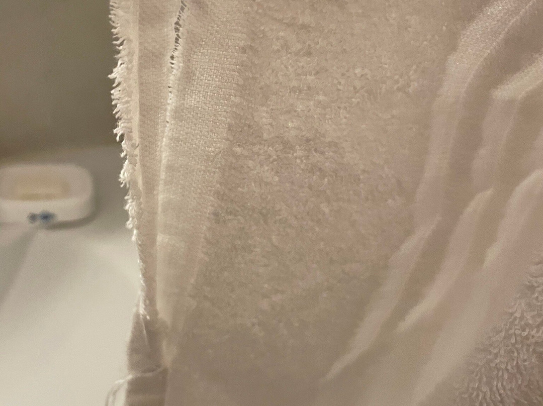 B&B Viale Dei Pini主图