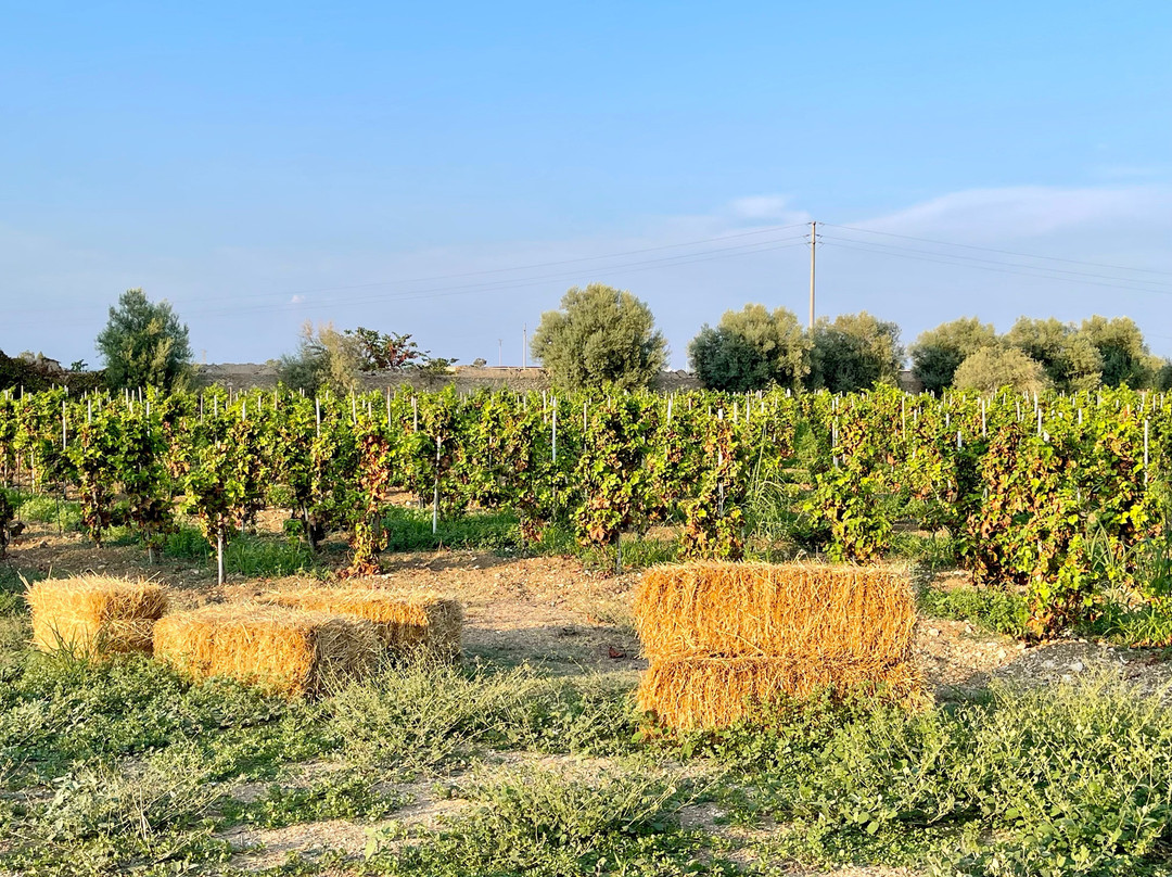 Azienda Agricola Pupillo-锡拉库扎必去景点