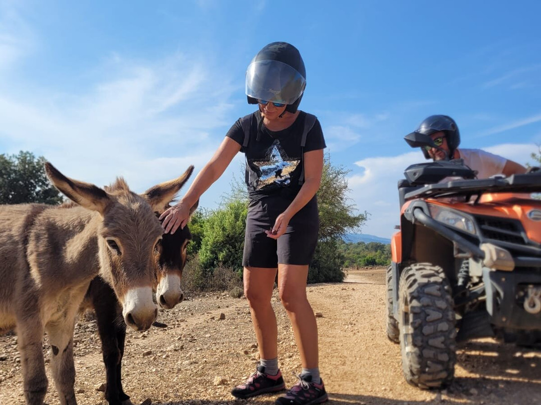 Sisine Quad Rental-Triei必去景点