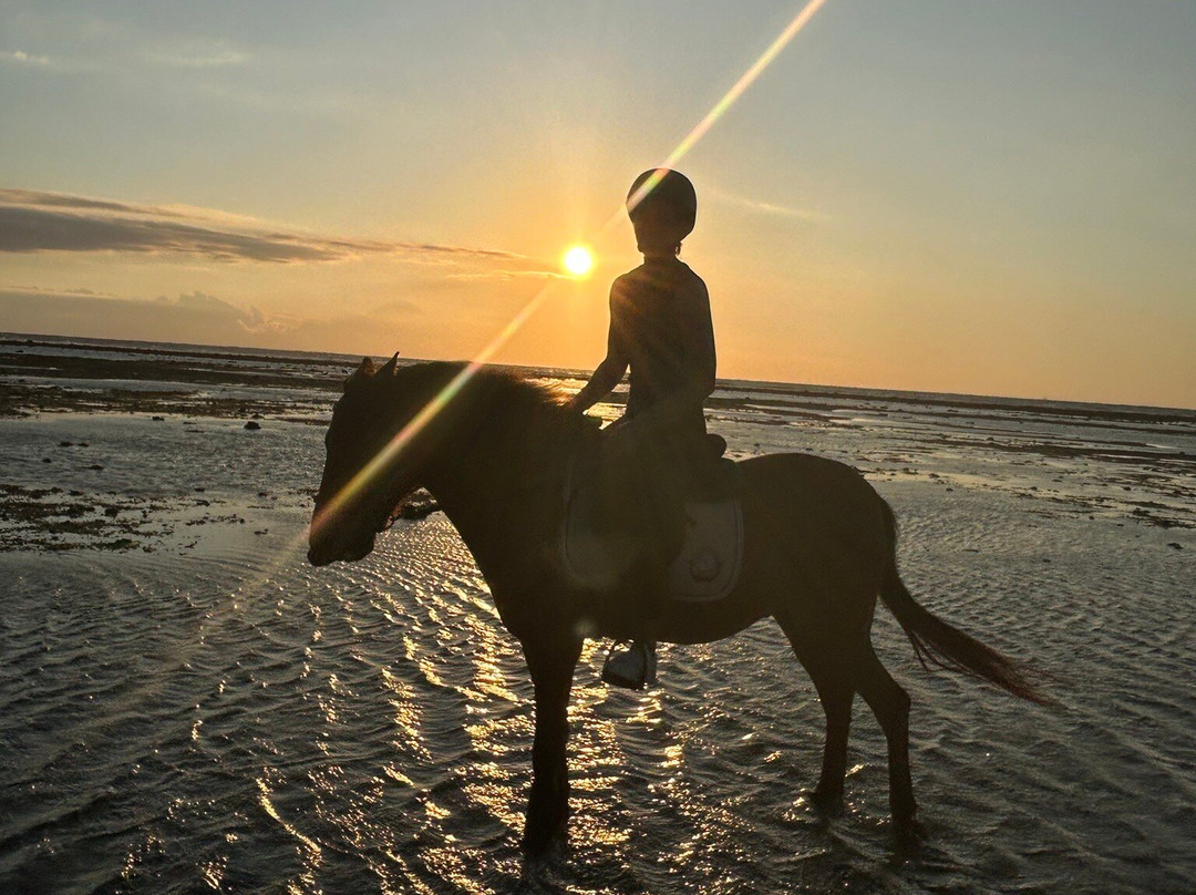 Stud Horse Riding and Rescue-吉利特拉万安必去景点