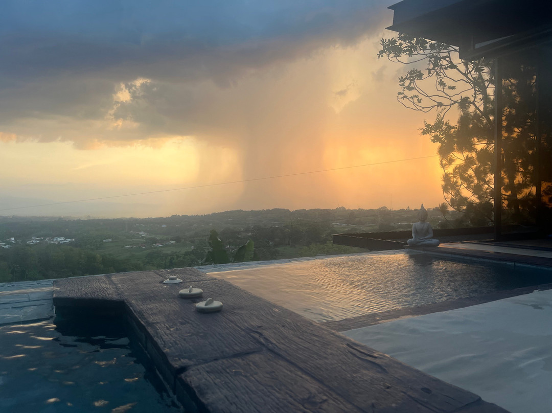 Bio Habitat Hotel主图