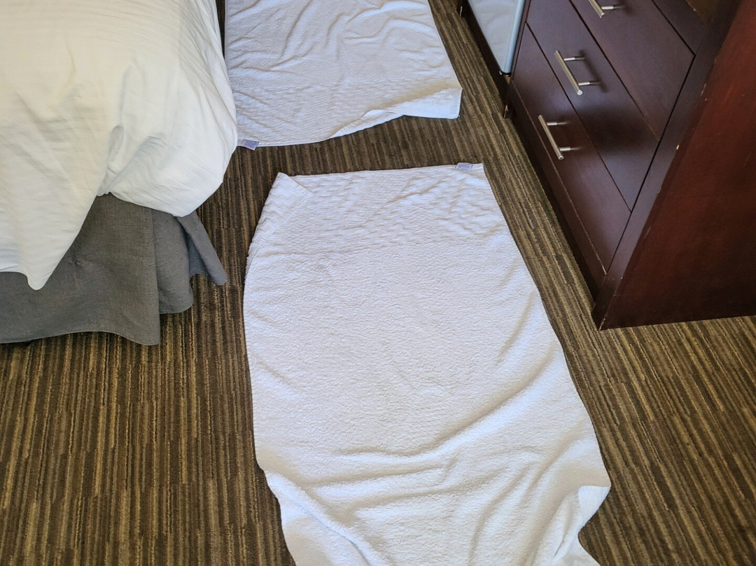 Best Western Green Valley Inn主图