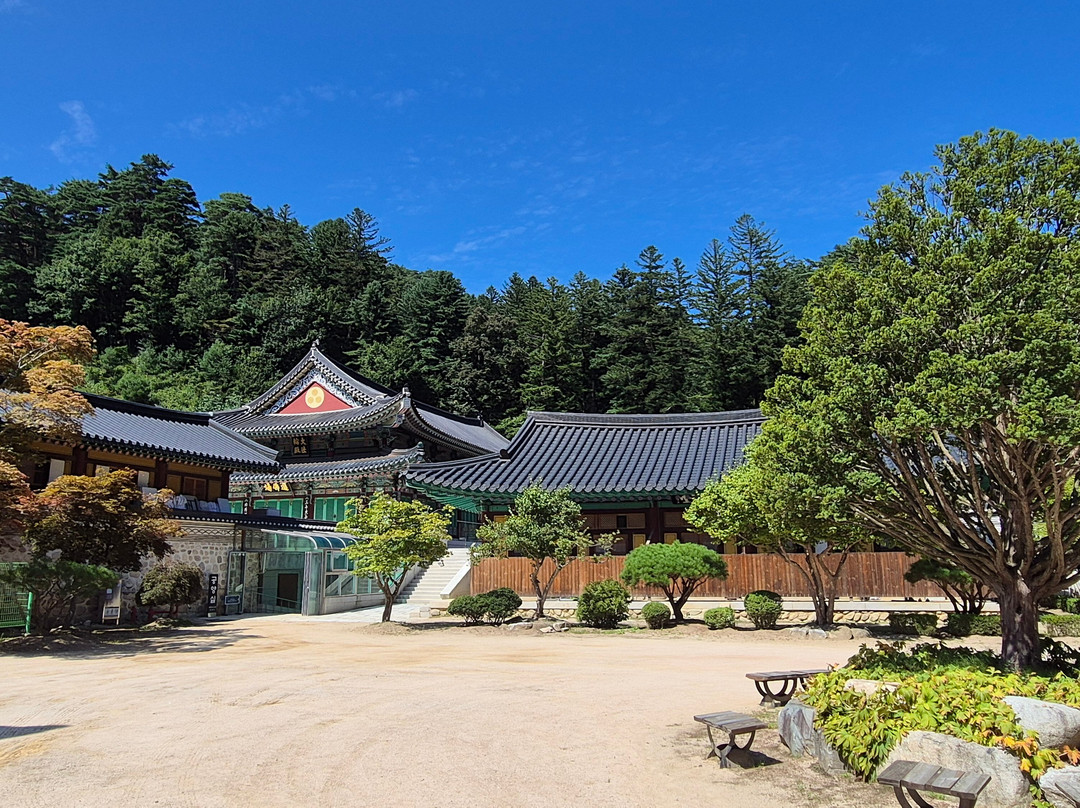 Woljeongsa Temple-平昌郡必去景点