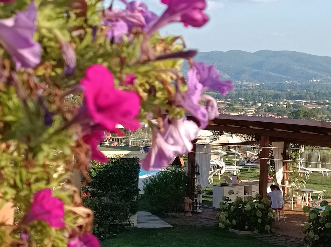 多莫斯伏伦妮雅住宅酒店主图