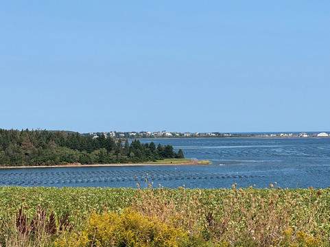 Duncan's Island Tours-夏洛特镇必去景点
