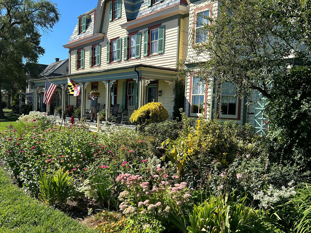 Whitehaven Hotel主图