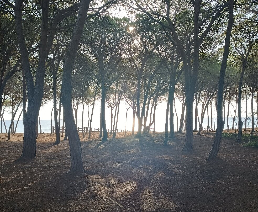 Spiaggia S'Isula Manna-Lotzorai必去景点