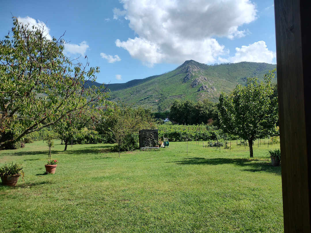 Fattoria San Vito景点图片
