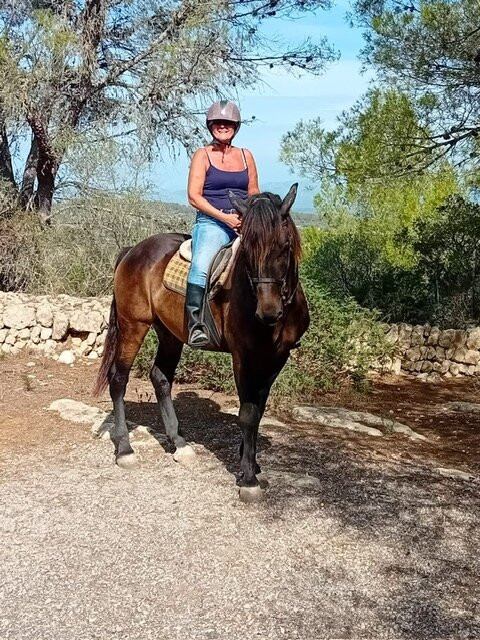 Mallorca Horses-马洛卡帕尔马必去景点