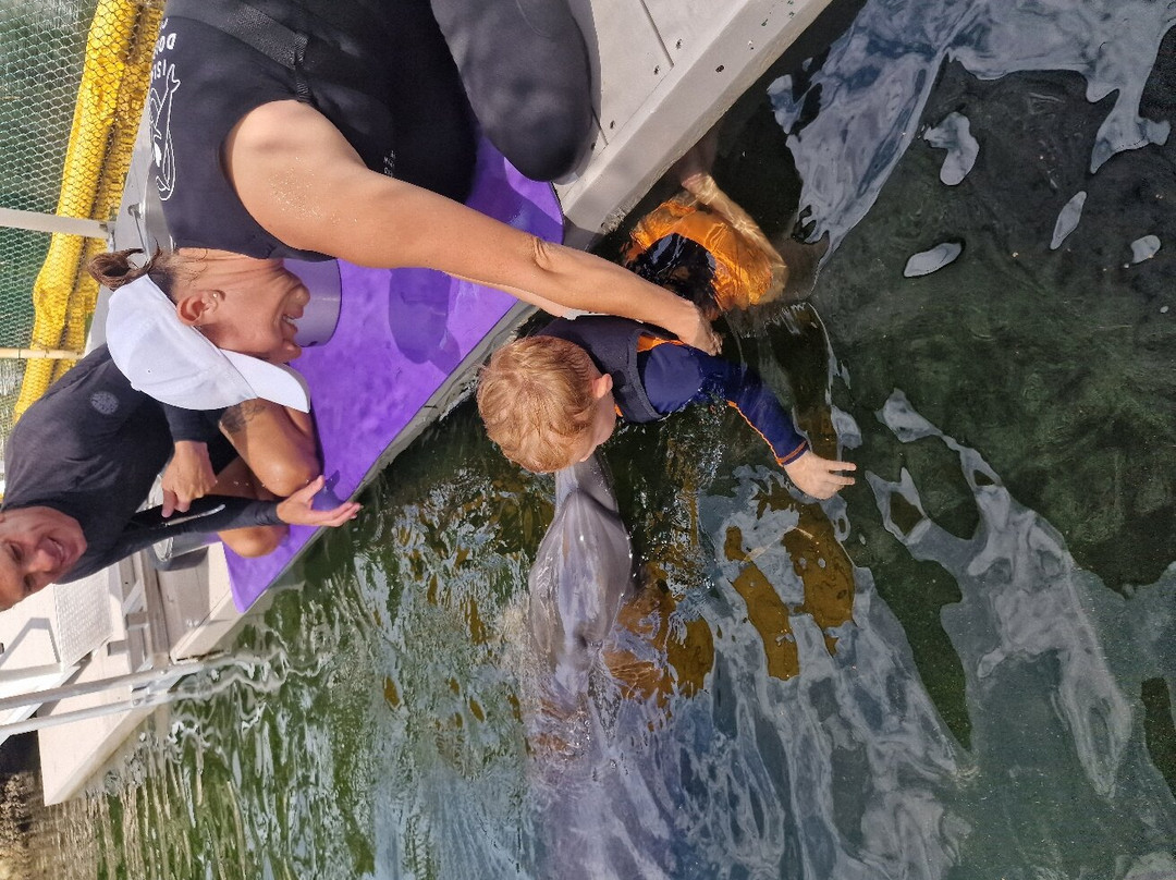 Island Dolphin Care-拉哥岛必去景点