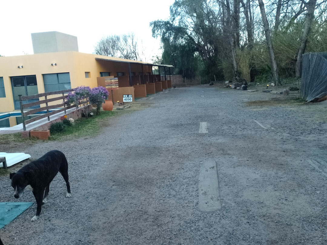 Las Cardas Posada主图