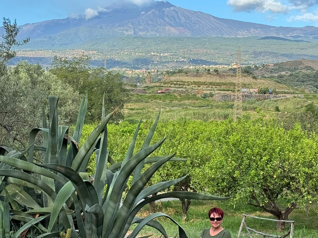 Antico Borgo Agriturismo & Country Hotel主图